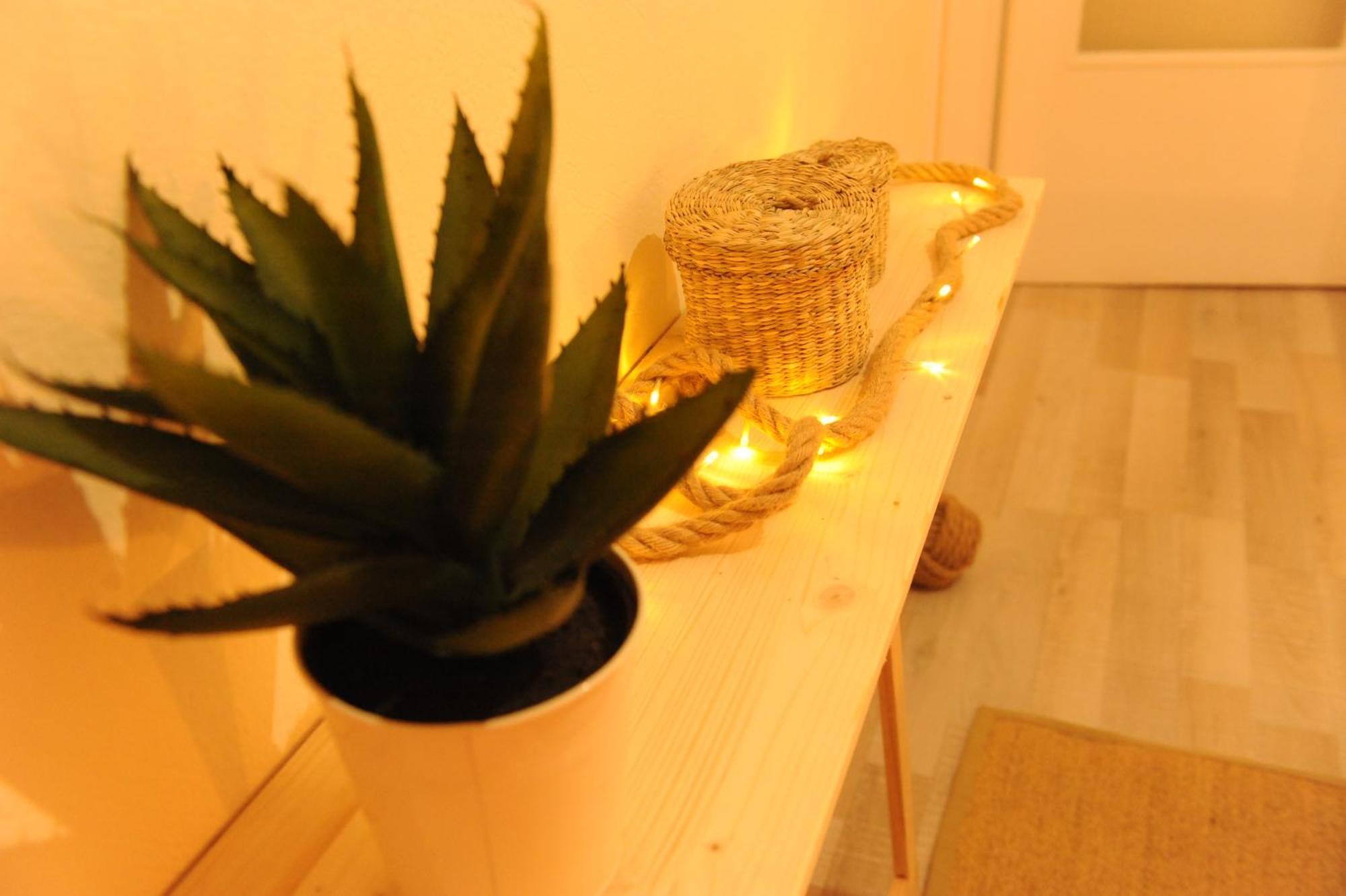 Apartmán Delphic Moments - Sunny App 3Br, 2Ba With View Exteriér fotografie